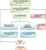 Organigrama 1. Captura Organigrama 1.
