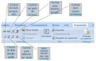 Captura Controles de Word.