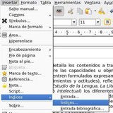 Insertar índice. Captura cuadro insertar índice.