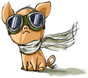 Imagen de un cerdo con gafas y bufanda.