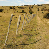 Fotografía de un cercado vallado