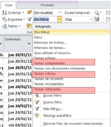 Captura de pantalla menú de filtros en Project.