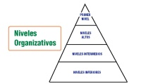 Niveles organizativos Pirámide donde se recogen los distintos niveles organizativos: primer nivel, niveles altos, niveles intermedios y niveles inferiores.