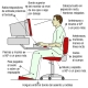 Postura Adecuada ante el ordenador. Imagen de una persona ante el ordenador con etiquetas sobre cómo colocar cada parte del cuerpo.