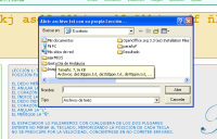 Captura de pantalla del Paso dos para cargar fichero txt.